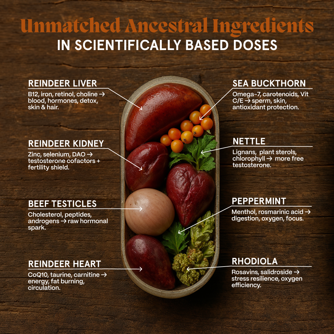 Primal Reindeer Testosterone Support