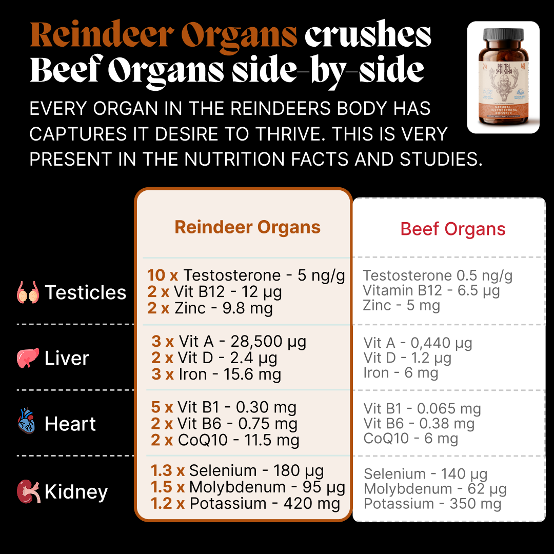 Primal Reindeer Testosterone Support
