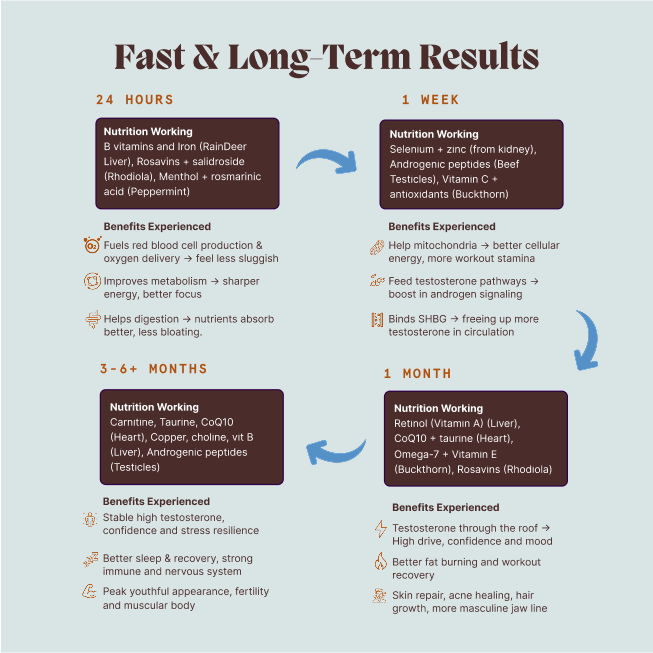 Primal Testosterone Support