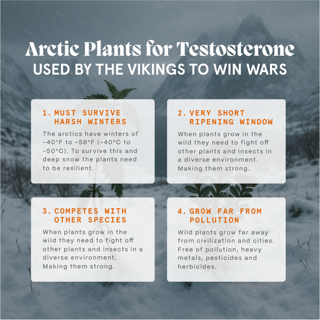 Primal Testosterone Support