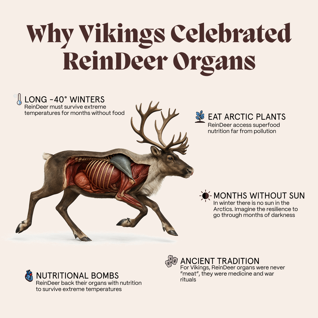 Primal Reindeer Testosterone Support