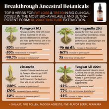 Primal Viking Unleashed Ritual