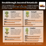 Primal Joint Repair Ritual