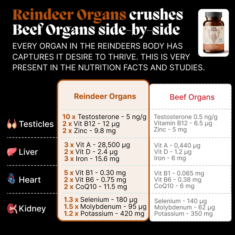 Primal Reindeer Testosterone Support - Image 4