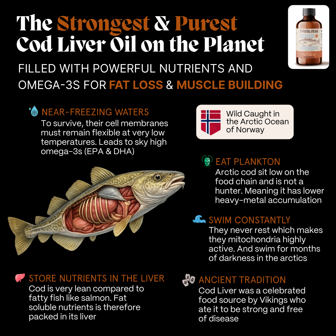 Primal Viking Unleashed Ritual