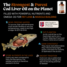 Primal Viking Unleashed Ritual