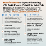 Primal Joint Repair Ritual