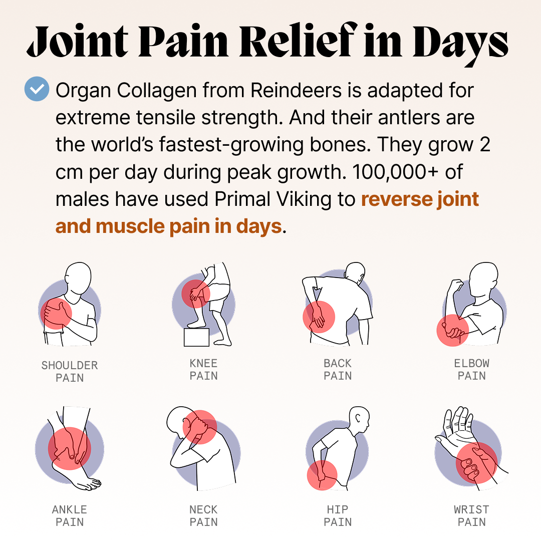 Primal Reindeer Testosterone Support