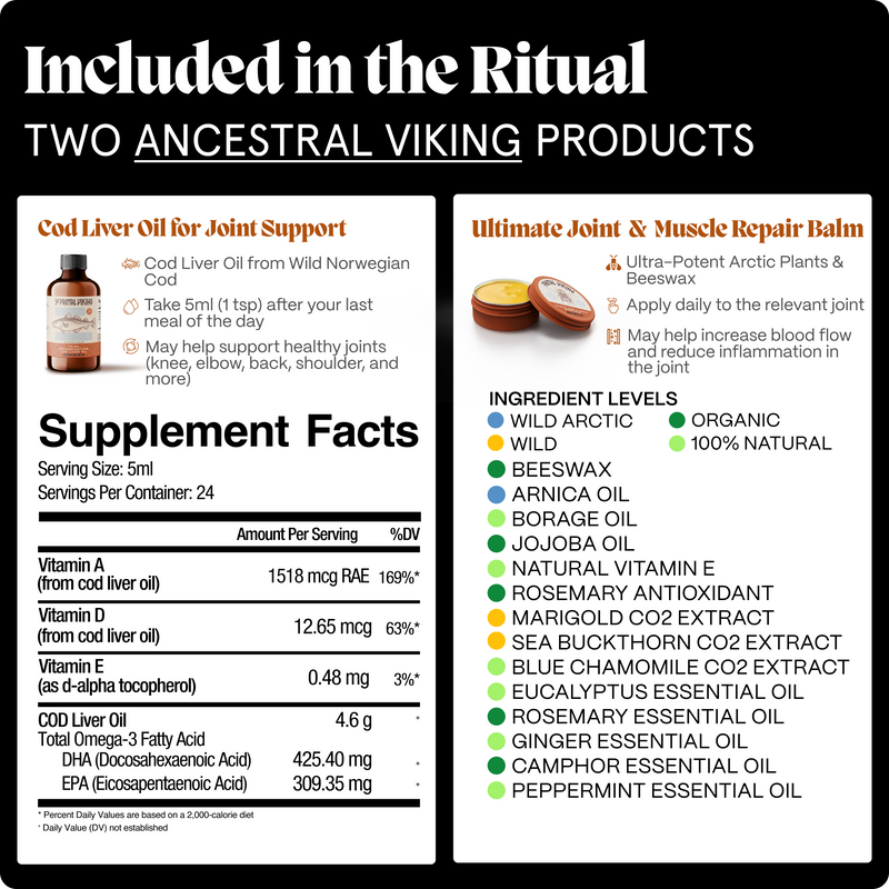 Primal Viking Ritual - Image 2