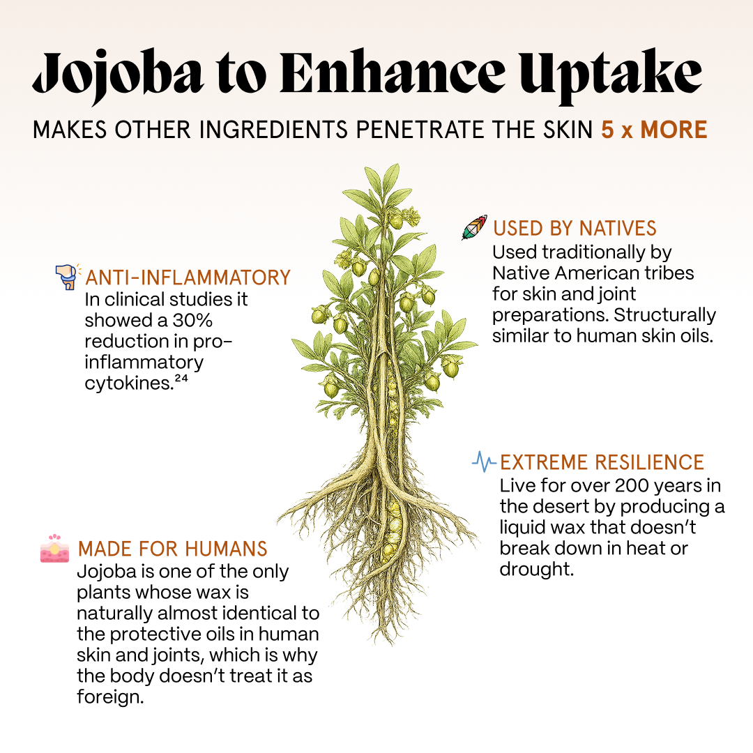 Primal Joint Repair Ritual