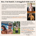 Primal Joint Repair Ritual