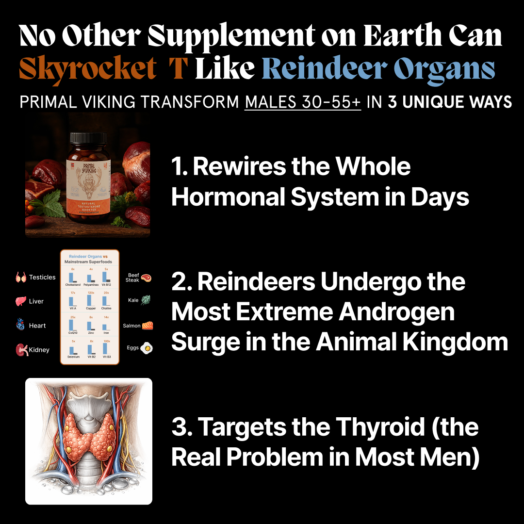 Primal Reindeer Testosterone Support