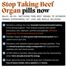 Primal Viking Unleashed Ritual