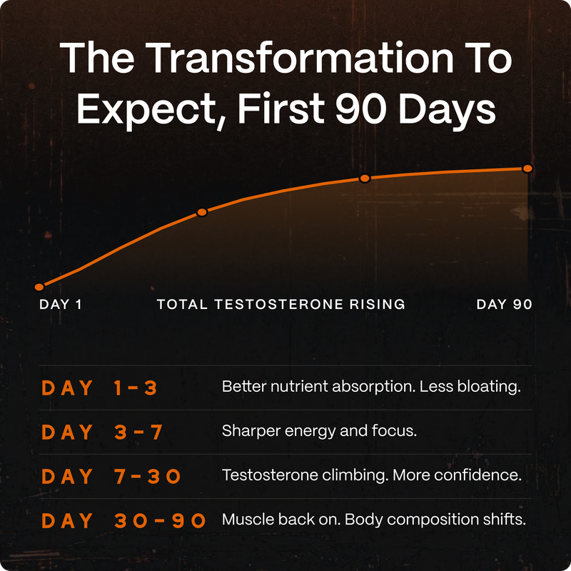 Ancestral Testosterone Booster - Image 6