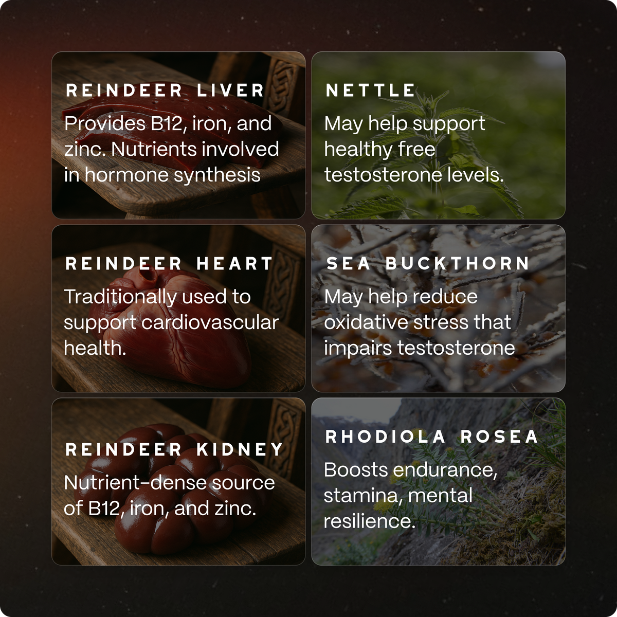 Ancestral Testosterone Booster