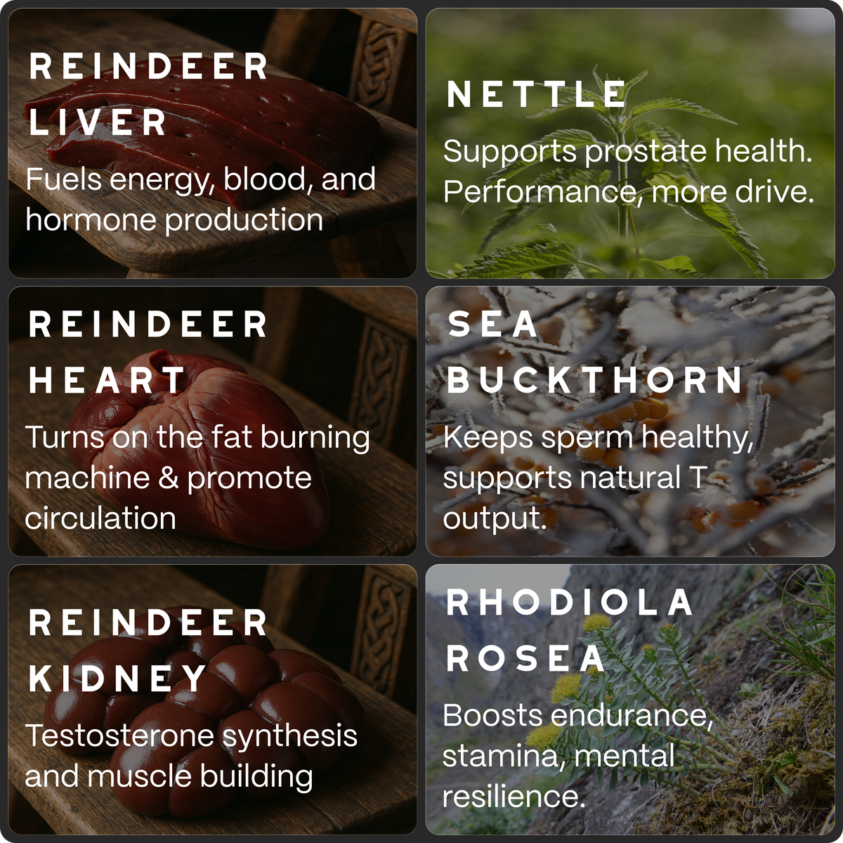 Ancestral Testosterone Booster