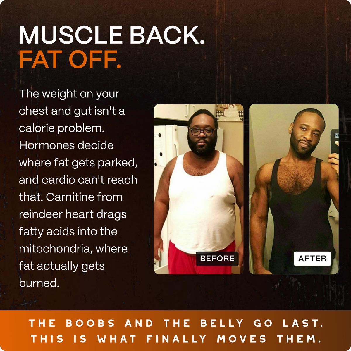 Ancestral Testosterone Booster